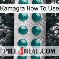 Kamagra How To Use dapoxetine1